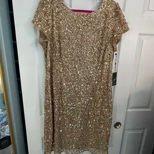 Adrianna Papell Cocktail Dress